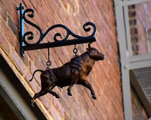 Bull In The Alley photo 10